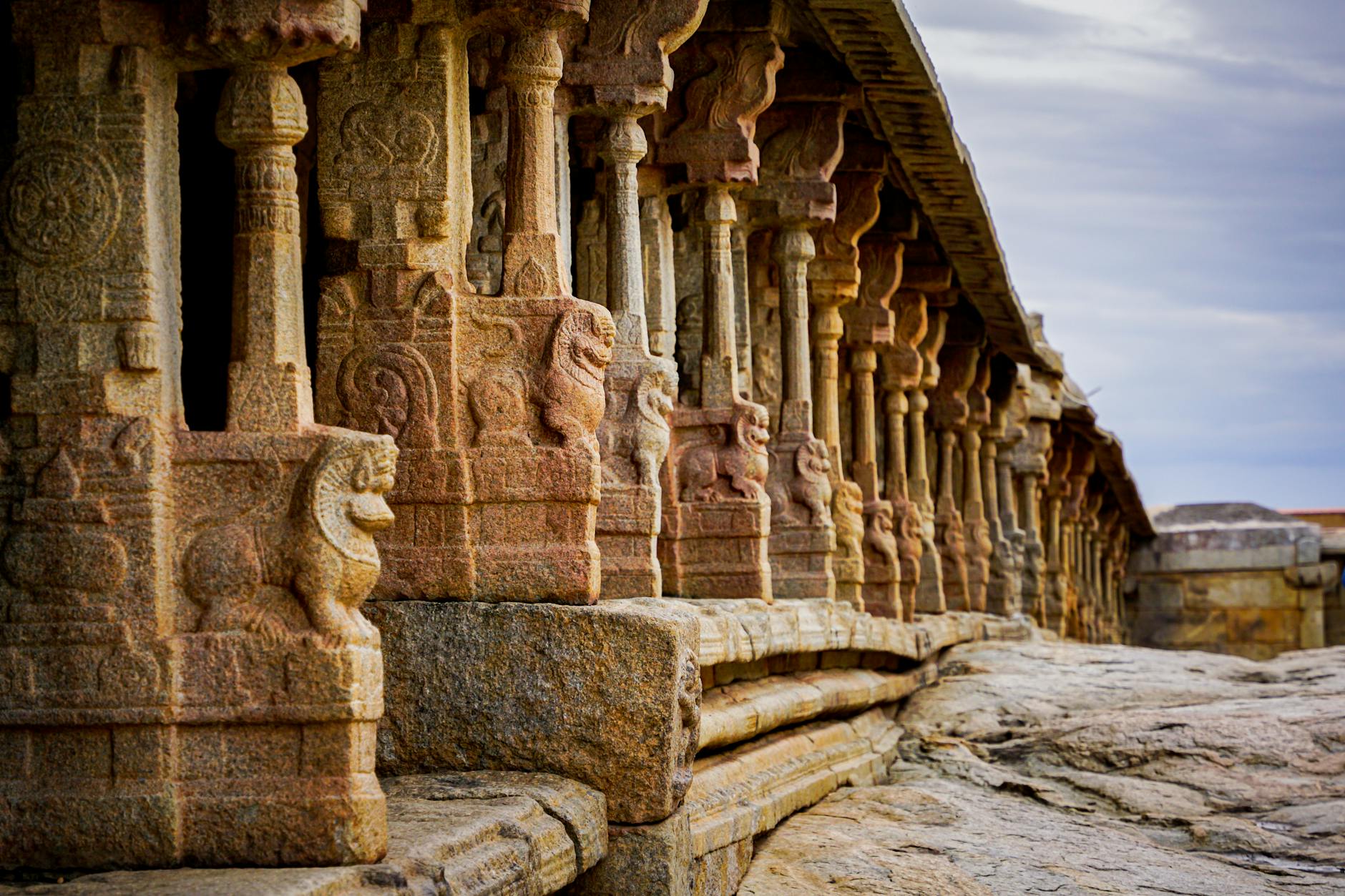 தமிழ்நாடு பிளஸ் டூ பொதுத் தேர்வு முடிவுகள் இன்று வெளியாகிறது