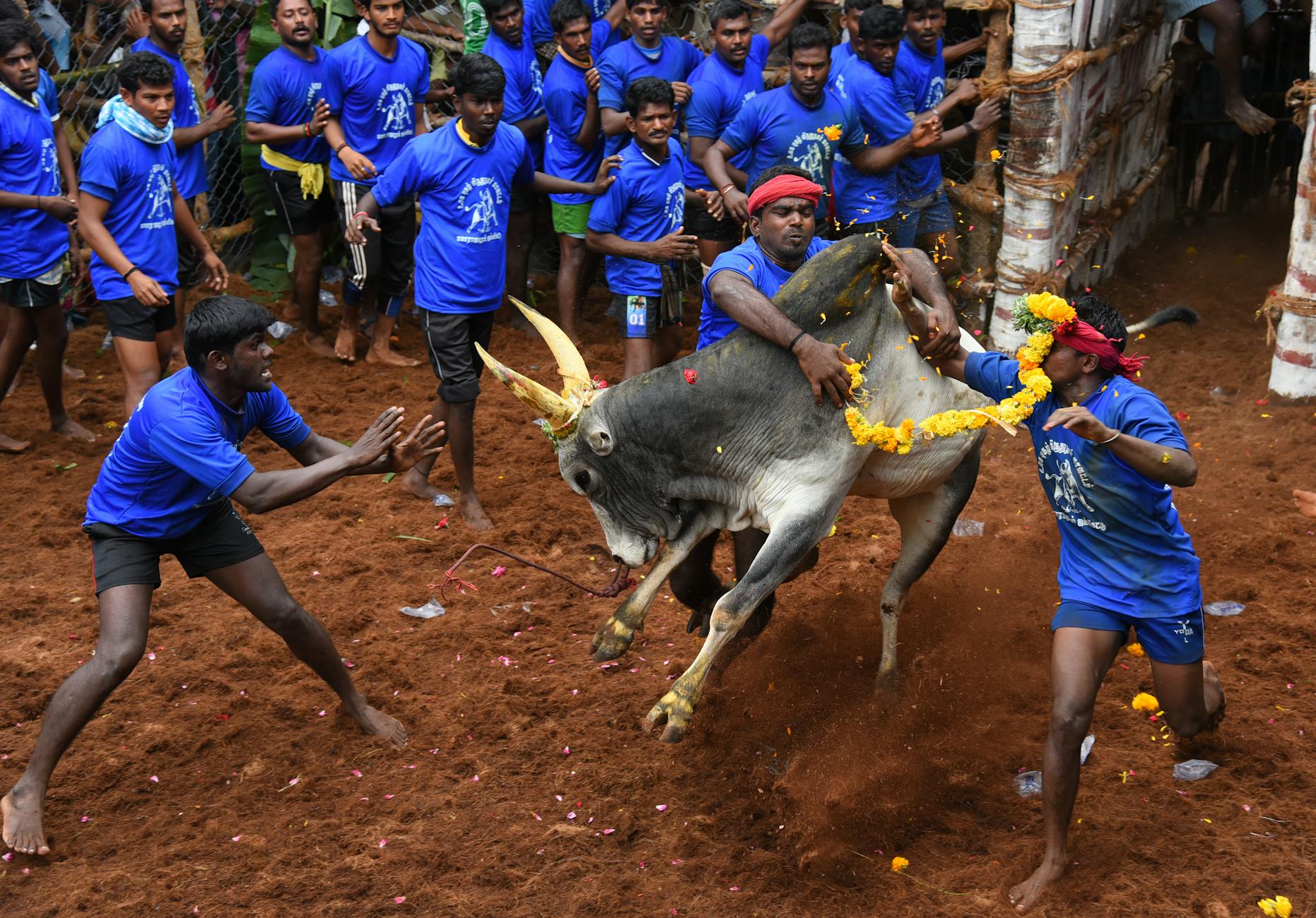 தமிழக பாஜக நிர்வாகிகளுடன் பிரதமர் மோடி இன்று ஆலோசனை