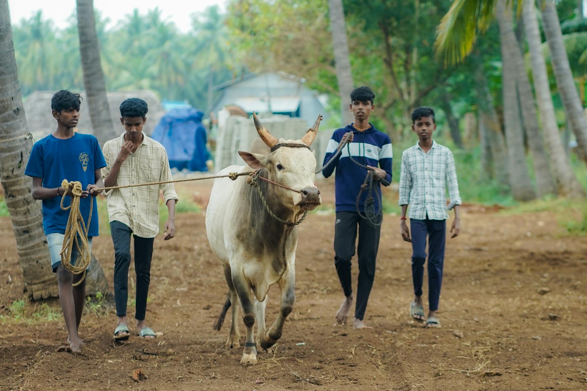 டி.ஆர். பாலு தேர்தல் ஆணையத்திடம் உள்துறை செயலாளர் மாற்றத்தை ரத்து செய்ய கோரிக்கை