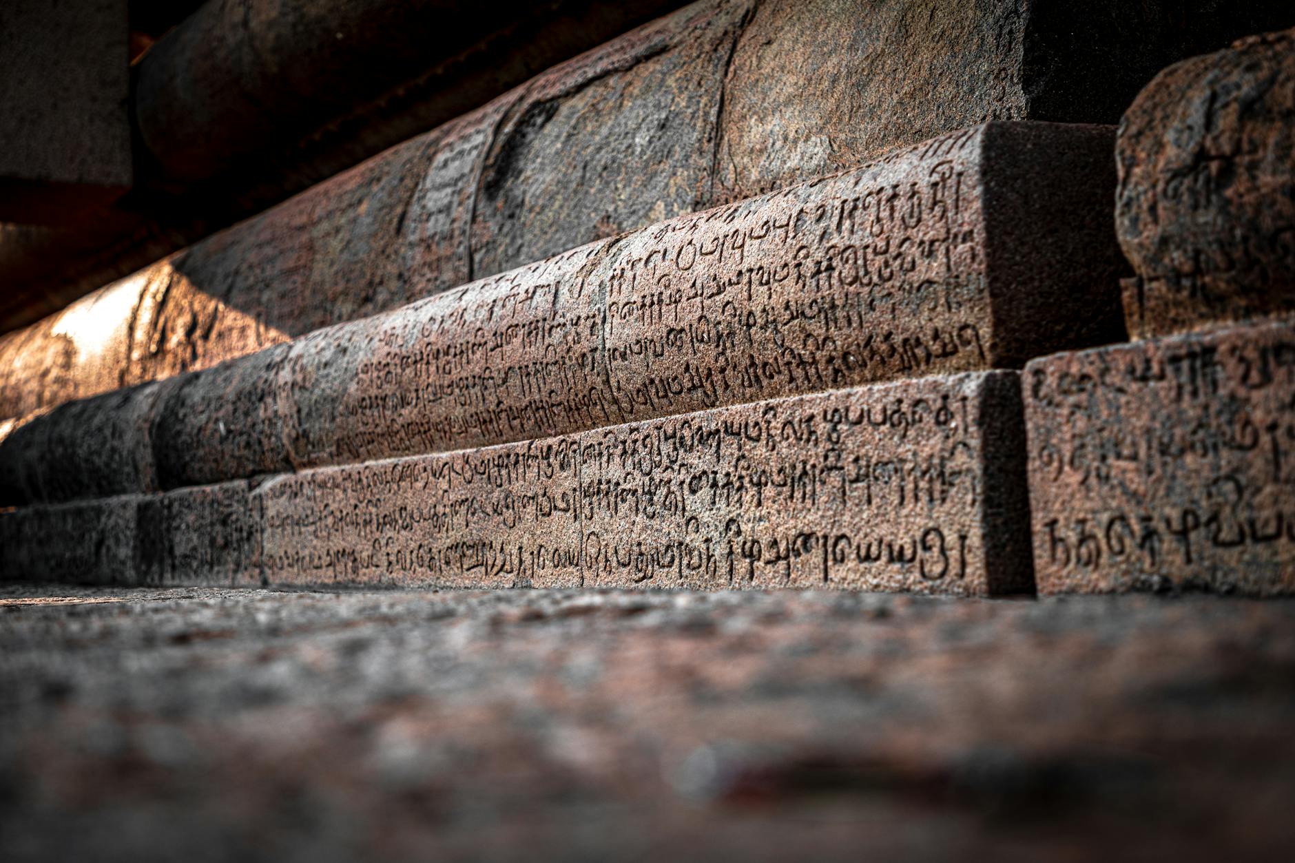 பாஜகவால் தமிழகத்துக்கு ஆபத்து என உதயநிதி ஸ்டாலின் எச்சரிக்கை