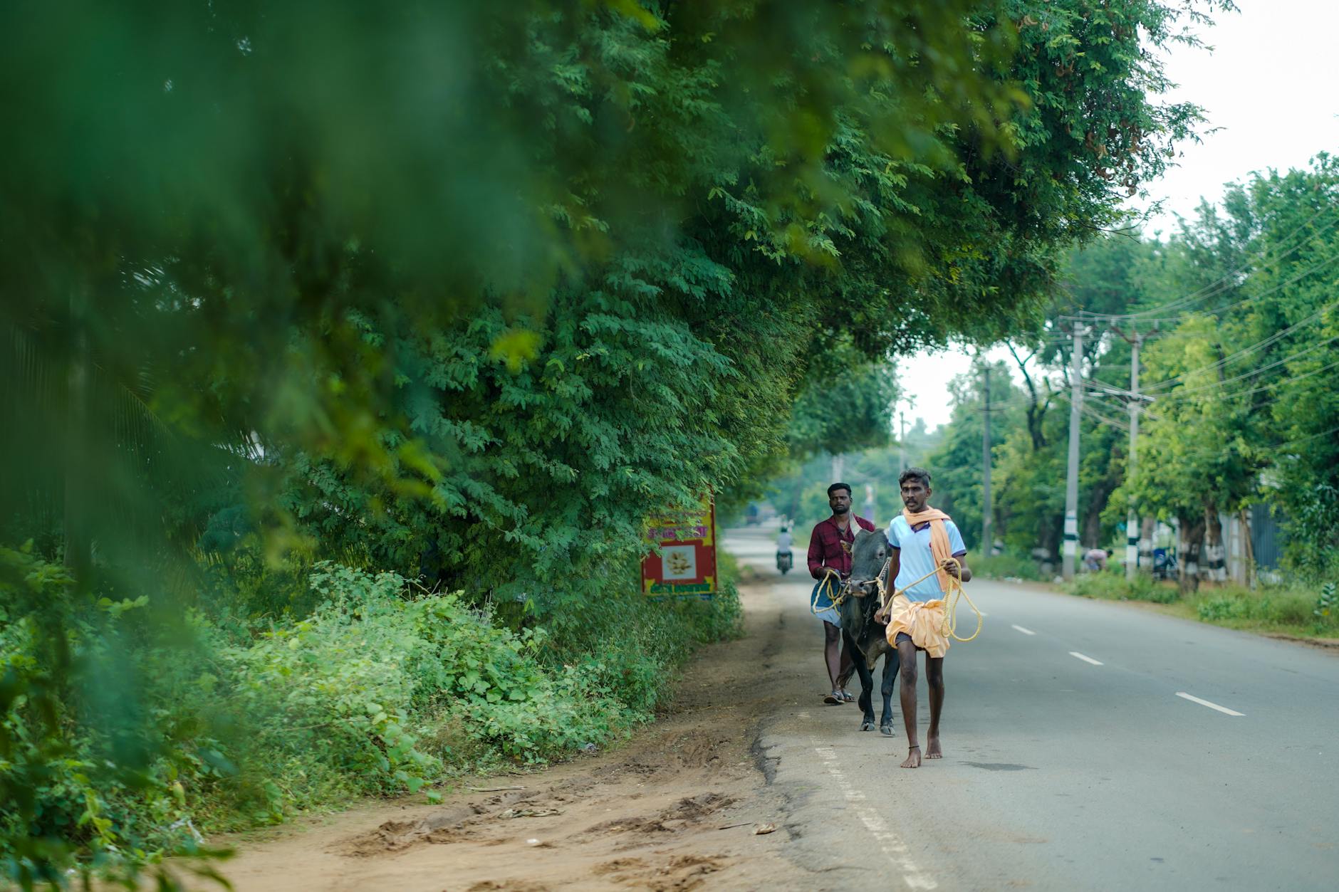 தொகுதி மறுவரையறையின் மறைக்கப்பட்ட உண்மைகள் வெளியானது